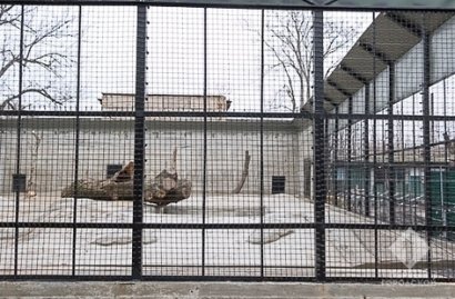 В Одесском зоопарке достроили новый медвежатник