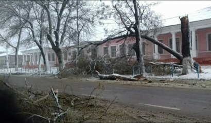 Измаил возвращается к жизни. Постепенно и с оглядкой на прогнозы погоды