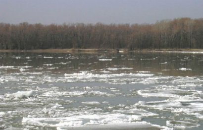 Ожидается подъем воды в реке Дунай