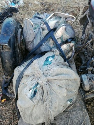 Пограничники Одесской области задержали четырёх браконьеров с уловом на 50 тысяч гривен