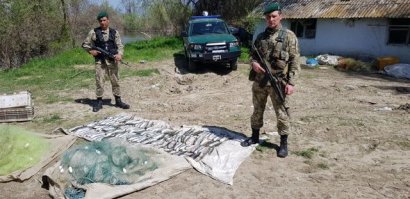 На Дунае задержали браконьеров