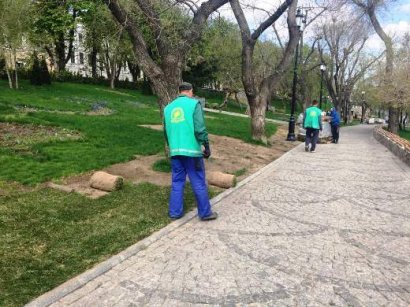 В преддверье начала курортного сезона в Стамбульском парке оперативно меняют газон и высаживают новые деревья и цветники