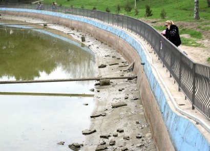 Что отыскалось в большом пруду?