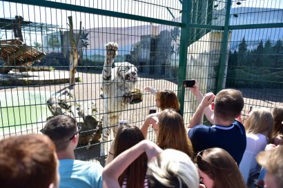 Студенты Юракадемии посетили единственное в Украине сафари в Одесском Биопарке