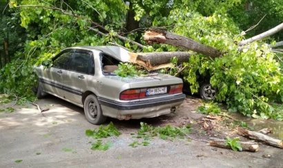 В Одессе два упавших дерева повредили сразу пять автомобилей