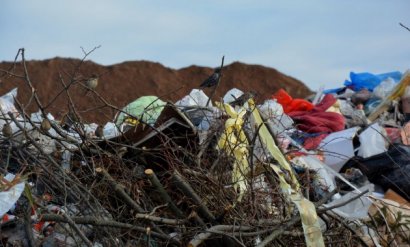 С начала весны поблизости от Одессы выявлено пятнадцать масштабных несанкционированных свалок мусора