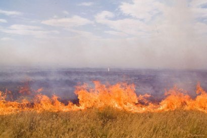 Под Одессой произошел масштабный пожар