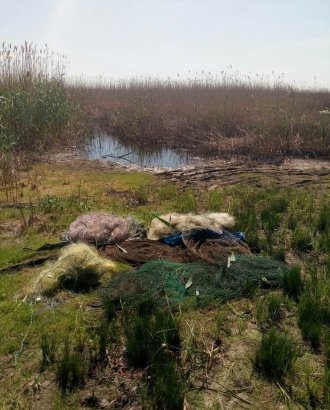 На Дунае поймали браконьера с уловом сазана