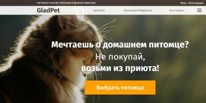 В Одессе более 500 бездомных кошек и собак нашли свой дом с помощью онлайн-сервиса
