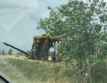 Военные не дают фермерам собрать урожай в Тарутино