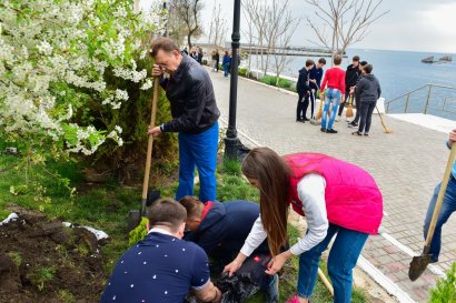 Студенты поддержали «Неделю добрых дел» в Одессе