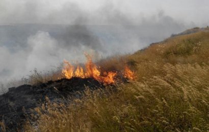 За сутки в Одесской области ликвидировано 14 возгораний