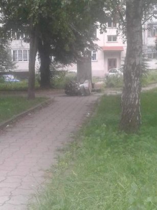 "Радикально настроенные активисты" уничтожили памятник Пушкину на Львовщине