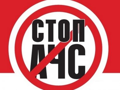 В области зафиксировали новую вспышку Африканской чумы свиней