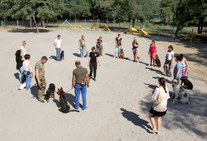 В Одессе отрыта новая специализированная площадка для выгула собак