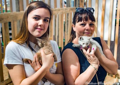 В Одессе пройдет фестиваль в поддержку животных