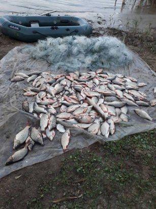 Браконьерство в Одесской области продолжает процветать 