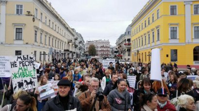 В одесском Горсаду 30 сентября в 12:00 пройдет всеукраинский «Марш за права животных»