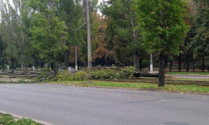 Упавшие деревья парализовали движение двух трамвайных маршрутов