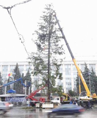 В Кишиневе впервые за много лет установят не живую, а искусственную новогоднюю ёлку