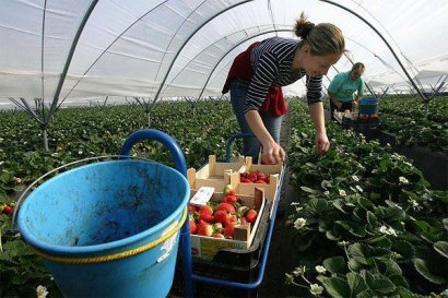 Число выехавших за границу украинцев за полгода превысило все показатели