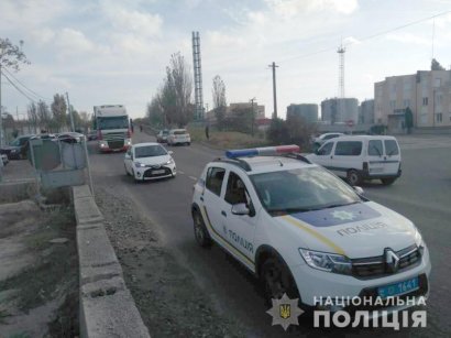 Измученных на таможне овец повезли в Винницкую область на утилизацию