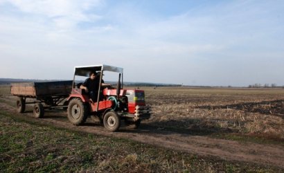 За девять месяцев текущего года Одесский регион занял седьмое место по объему сельхозпроизводства в Украине 