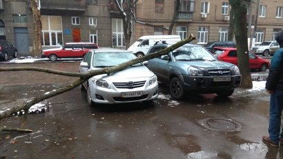 На улице Льва Толстого в Одессе крупная ветка упала на припаркованные автомобили