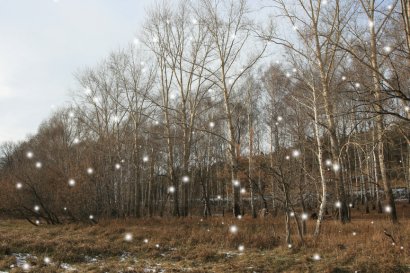 В Гидрометцентре ответили на главный предновогодний вопрос одесситов