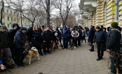 Возле здания ГУНП на улице Еврейской собрались около 50 человек со своими четвероногими любимцами