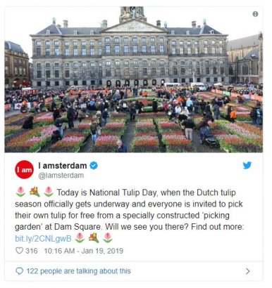 Национальный день тюльпанов в Нидерландах ВИДЕО