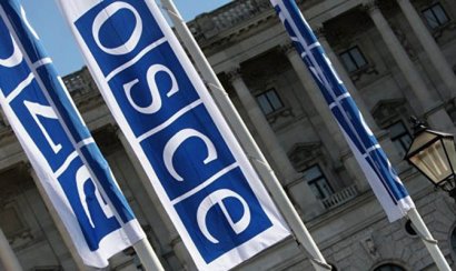 ОБСЕ начала наблюдение за выборами президента Украины