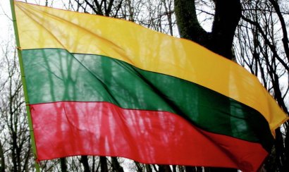 Правительство Литвы проголосовало за безвозмездное предоставление Украине боеприпасов