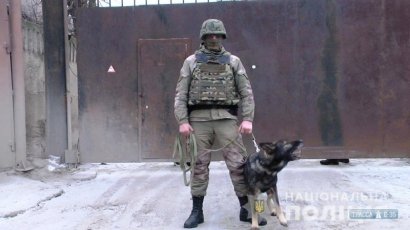 Служебные собаки Одесской полиции помогли в раскрытии более тысячи преступлений за 2018 год
