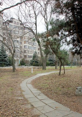 Олимпийский сквер на проспекте Шевченко преобразится к началу весны