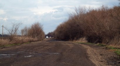 В Тарутинском районе в лесу полиция обнаружила изуродованные животными останки молодого мужчины