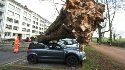 На западе Германии из-за урагана приостановлено движение поездов