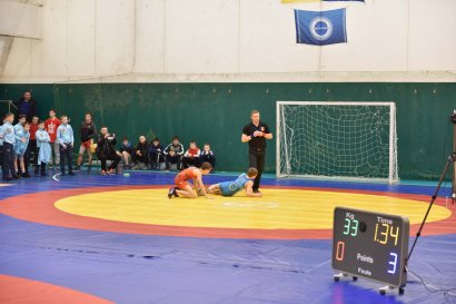 В Одессе проходит всеукраинский турнир по греко-римской борьбе памяти Константина Пульчо