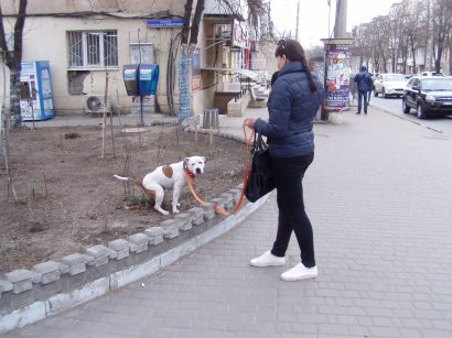 Десятый год в ожидании помощи