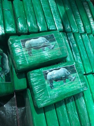 Бананы, носороги и собаки: под Одессой изъяли партию кокаина на 51 млн долларов