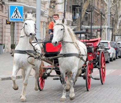 Красная дорожка. В Одесском национальном академическом театре оперы и балета проходит торжественная презентация проекта «Гордість та краса України»