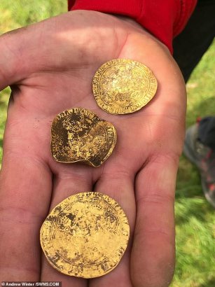 Британские поисковики-любители нашли клад редких монет XIV века, оцениваемый в $200 тысяч