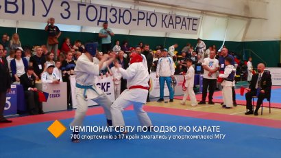 Чемпионат мира по годзю рю карате: в спорткомплексе МГУ соревновались 700 спортсменов из 17 стран