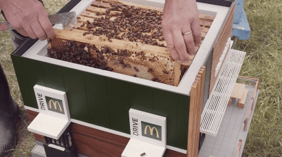 В Швеции для пчел создали "Макдональдс" для пчел