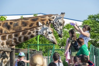 Детский праздник в Биопарке для маленьких одесситов