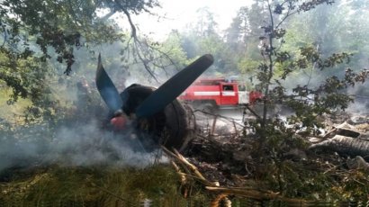 Самолет Ан-2 упал на Полтавщине