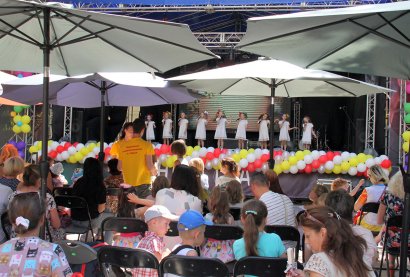 В Летнем театре (Городской сад) состоялся ежегодный городской праздник «День близнецов».