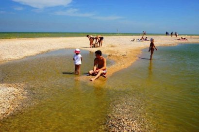 Отдыхающие на Азовском море жалуются на нашествие морских блох