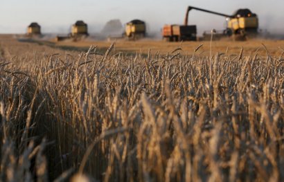 Украина вошла в тройку главных экспортеров агропродукции в ЕС