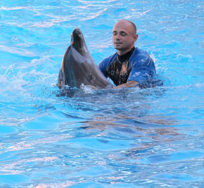 Дети Приморского района Одессы посетили Одесский дельфинарий 